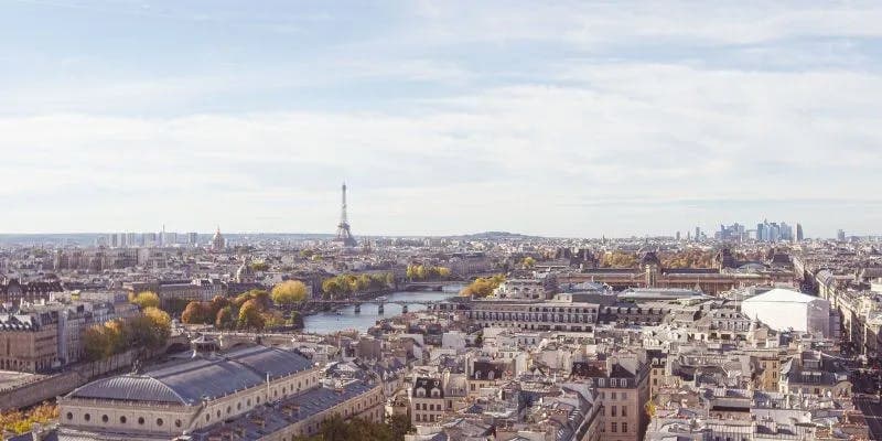 Aerial view of Paris showcasing the Eiffel Tower.