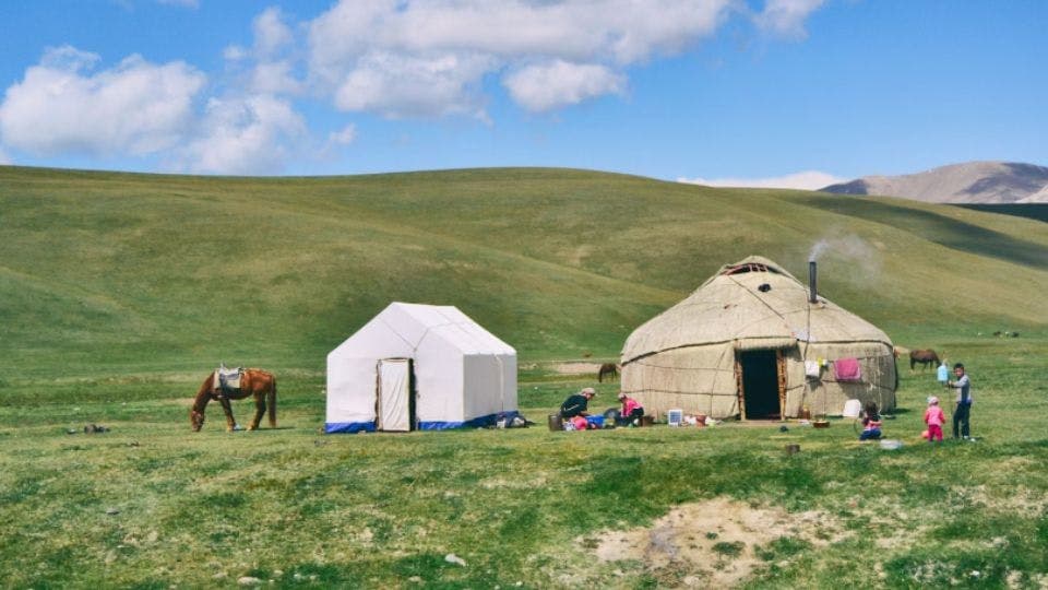 Yurt and tent in grassy landscape