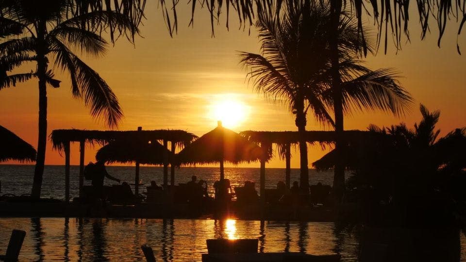 Beach sunset with palm silhouettes